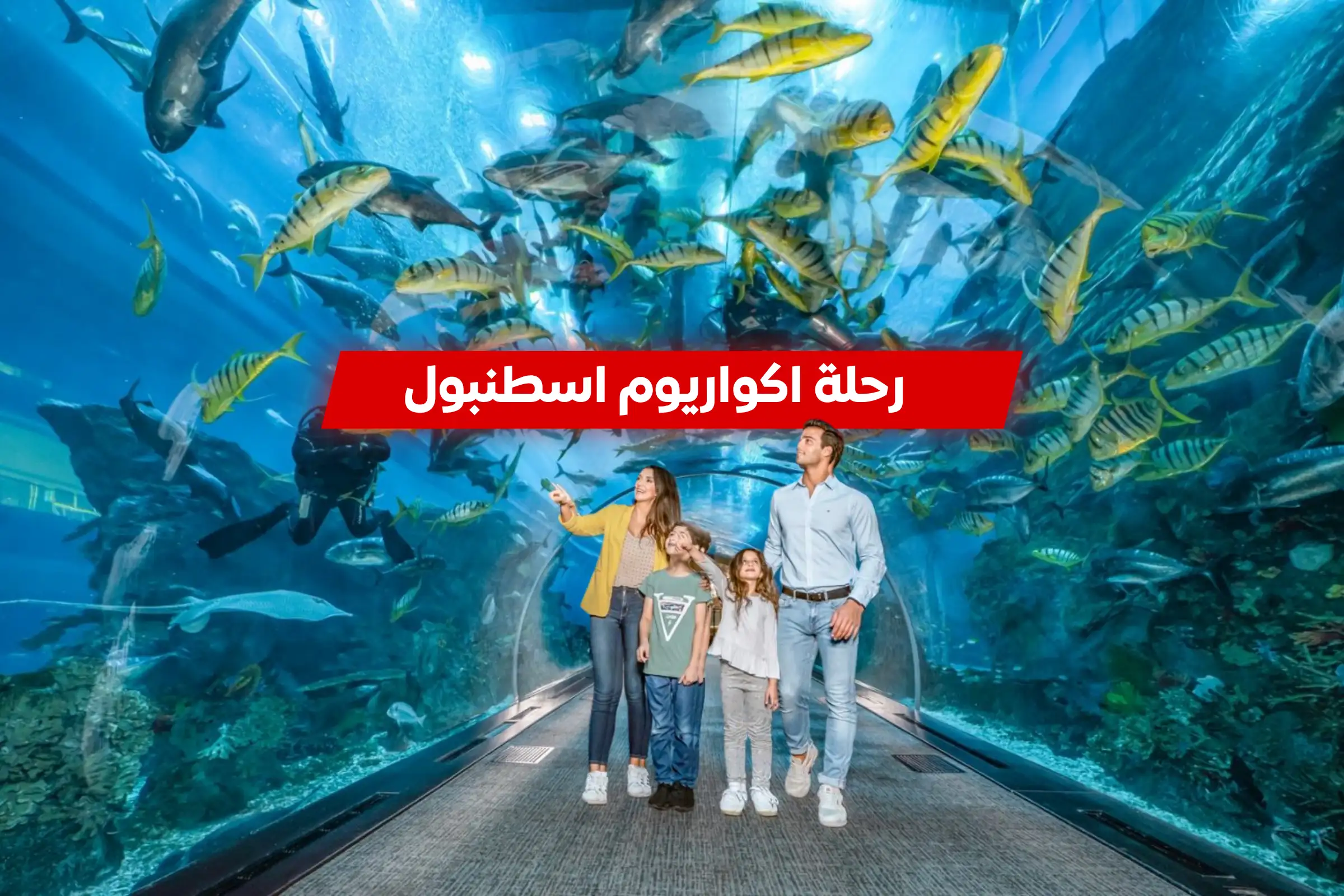 رحلة اكواريوم اسطنبول